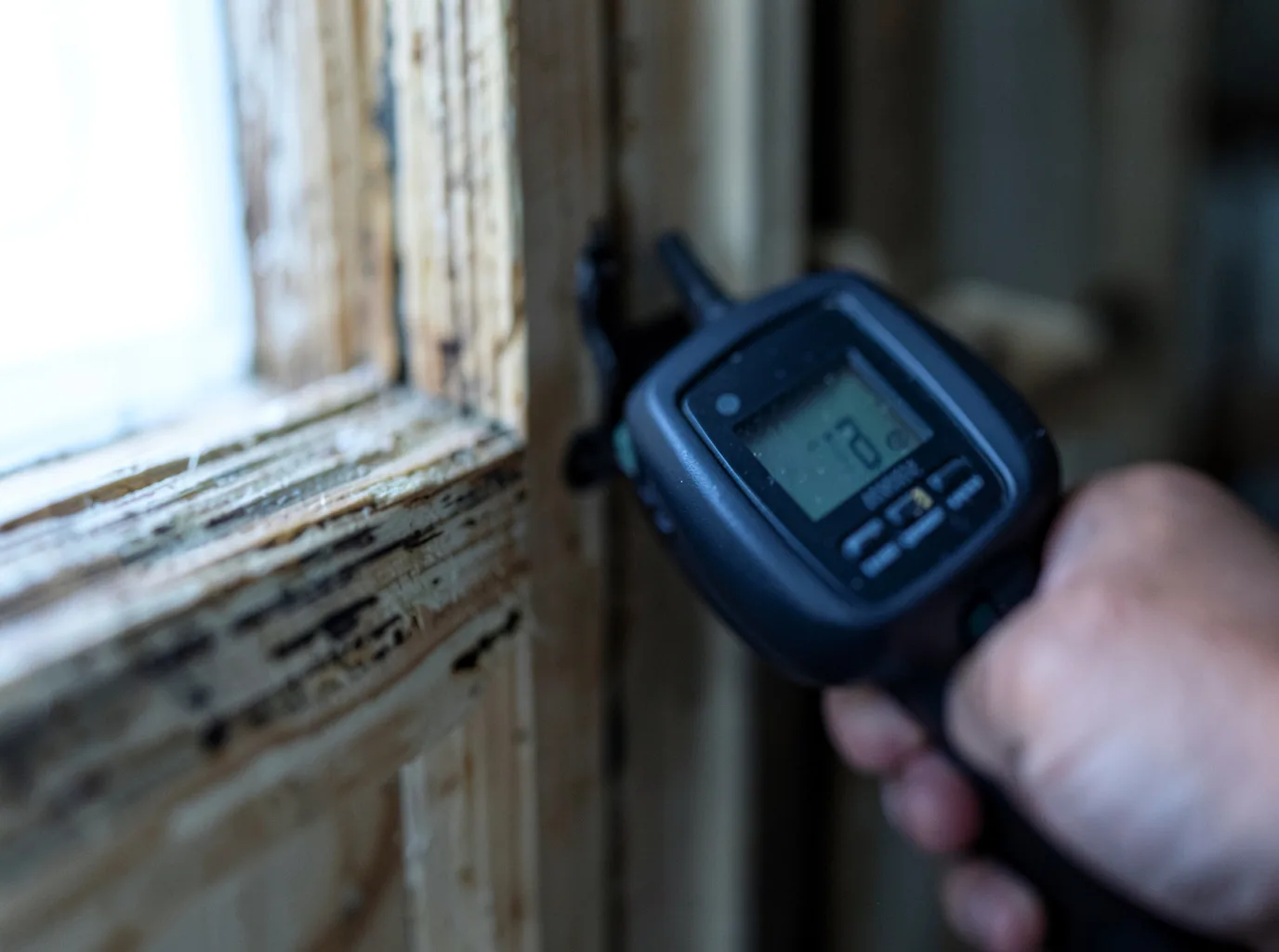 Moisture Inspection And Documentation in Clarence, PA